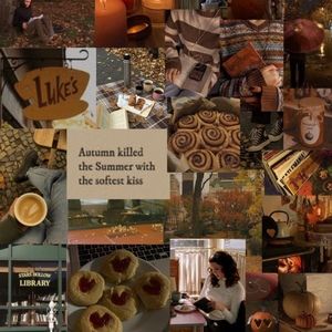 Meet your Posher, Anne